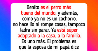 Me niego a que mi madrastra eche a mi perro de mi casa