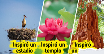 15 Veces en que la naturaleza inspiró a los arquitectos a diseñar estructuras casi vivas