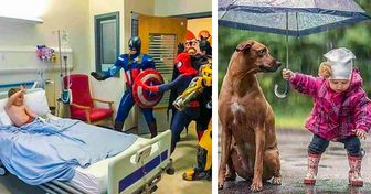 15+ Fotos que demuestran que la bondad está en las pequeñas acciones