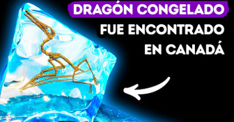 Una especie de “dragón congelado” estuvo atrapada en el hielo por 76 millones de años