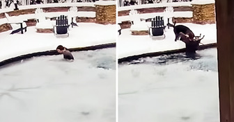 Una mujer no dudó en lanzarse al agua congelada para rescatar a su perro atrapado en ella