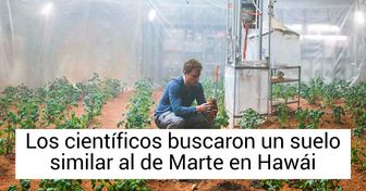 Un experimento de la NASA muestra que será posible sembrar vegetales en Marte
