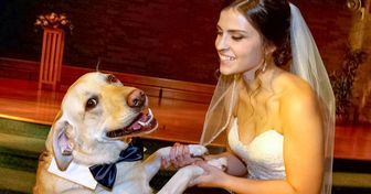 20 Perros que tuvieron un papel especial en la boda de sus amos