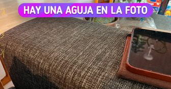 Agudiza tu vista, ¿puedes encontrar el objeto escondido en cada imagen?