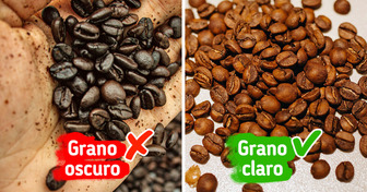 3 Consejos de expertos para identificar la calidad del café (y cómo evitar que te quede amargo)