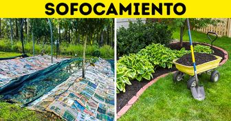 9 Herbicidas naturales ideales para destruir la maleza y no tus flores
