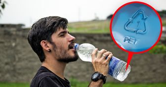 6 Cosas a considerar al momento de comprar agua embotellada