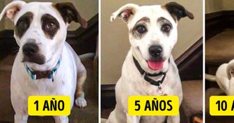 16 Personas compartieron fotos que parecen comunes, pero solo a primera vista