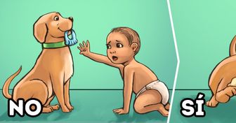 8 Tips para que tu mascota se prepare para la llegada de un bebé