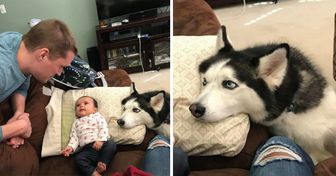 20+ Animales que no necesitan palabras para expresar el amor que sienten por sus humanos
