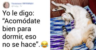 20 Usuarios de Genial revelan la chistosa manera en que conversan con su mascota tal como si fuera otra persona