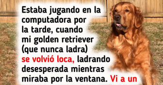 16 Adorables animales cuyo amor es tan grande que podría llegar hasta la Luna y volver