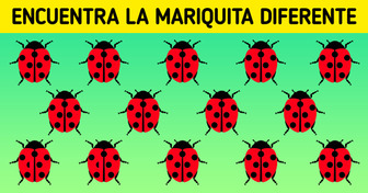 15 Imágenes con errores que pueden desafiar tu capacidad de observación