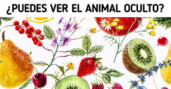 Test: Afina tu ojo y encuentra los animales ocultos en estas ilustraciones