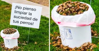 Para saber qué es la fatiga extrema, mira estas 20 fotos