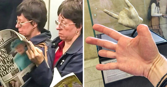 17 Momentos de la vida real que son tan perfectos que parecen montados