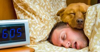 Un estudio dice que dormir con tu mascota es bueno para ti y son las noticias que hemos estado esperando