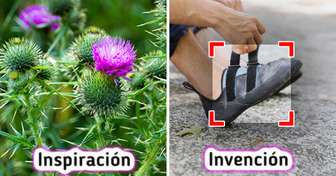 15 Ejemplos de cómo la ciencia imita a la naturaleza para innovar