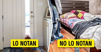 13 Cosas del hogar que las personas notan cuando van de visita