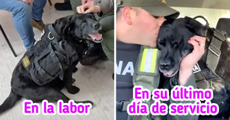 Pequi, la perrita heroína, se jubiló tras 10 años de servicio en la policía