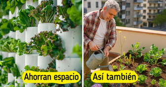 6 Huertos urbanos que crecieron donde nadie lo esperaba (y ahora alimentan familias enteras)