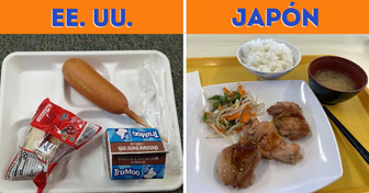 20 Usuarios muestran cómo son las comidas de las escuelas en sus países