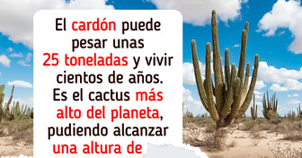 Datos que revelan la poderosa (y poco conocida) influencia de los cactus en el ecosistema y la cultura