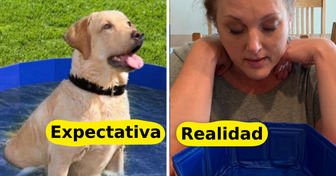 15+ Compradores que se sintieron profundamente engañados por sus pedidos