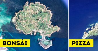 10+ Islas que tienen forma de animales u objetos y no parecen de este planeta