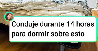 15+ Huéspedes de hotel que querían paz, pero se encontraron con otra cosa