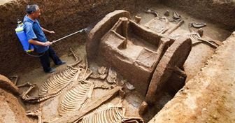 10 Sorprendentes hallazgos arqueológicos que fueron puramente accidentales