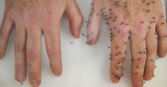 6 Formas naturales de mantener a los mosquitos alejados de tu cuerpo