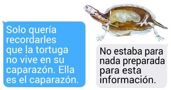 20+ Fotos en las que cosas comunes revelaron sus pequeños secretos