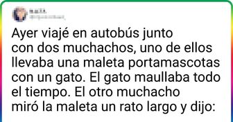 20+ Tuits que demuestran que las tristezas y alegrías de los amantes de los gatos son muy similares