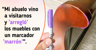 21 Familias que tienen a un integrante ingenioso y creativo fuera de control