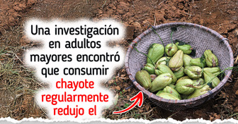 Lo que puede pasar en tu cuerpo si comes chayote cada semana