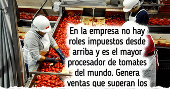 La historia de la empresa que alcanzó el éxito sin necesidad de tener jefes