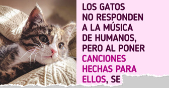 10 Animales que demuestran que la música no es solo para los humanos