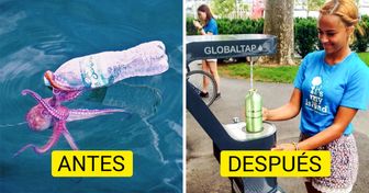 San Francisco prohibió la venta de botellas de plástico, y estamos encantados de verlas desaparecer