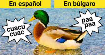 Así es como suenan estos 10 animales en idiomas diferentes al español