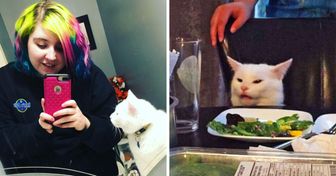 La dueña de Smudge, el gato del famoso meme de Internet, compartió con el mundo más fotos geniales de él