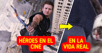 Más que superhéroes: Jeremy Renner supera un grave accidente gracias a un insólito escuadrón de apoyo