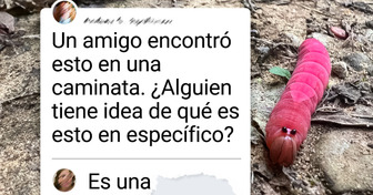 18 Increíbles criaturas que el internet ayudó a identificar y que podrían haber salido de cualquier libro de fantasía