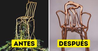 Diseñador británico crea muebles con la ayuda de los árboles, y su método contrarresta la deforestación