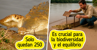 Durante siglos lo cazaron. Hoy, un ambicioso plan quiere evitar su extinción