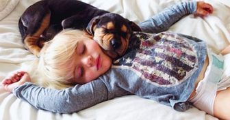 8 Cosas que suceden cuando dejas que tu perro comparta la cama contigo