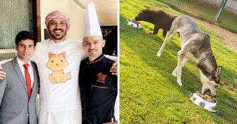 En Abu Dhabi, un chef se alió con un hotel 5 estrellas para aprovechar las sobras de su comida y alimentar animales en un refugio