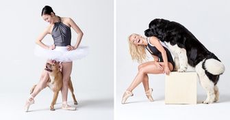 Una pareja de fotógrafos captura a perros interactuando con bailarines y el resultado es adorable