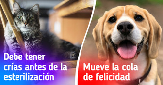 Desmintiendo 9 falsas creencias sobre animales que siguen engañando a la gente