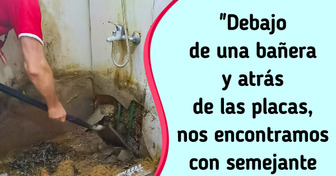 Renovaba su baño y lo que escondían las paredes, la tomó por sorpresa